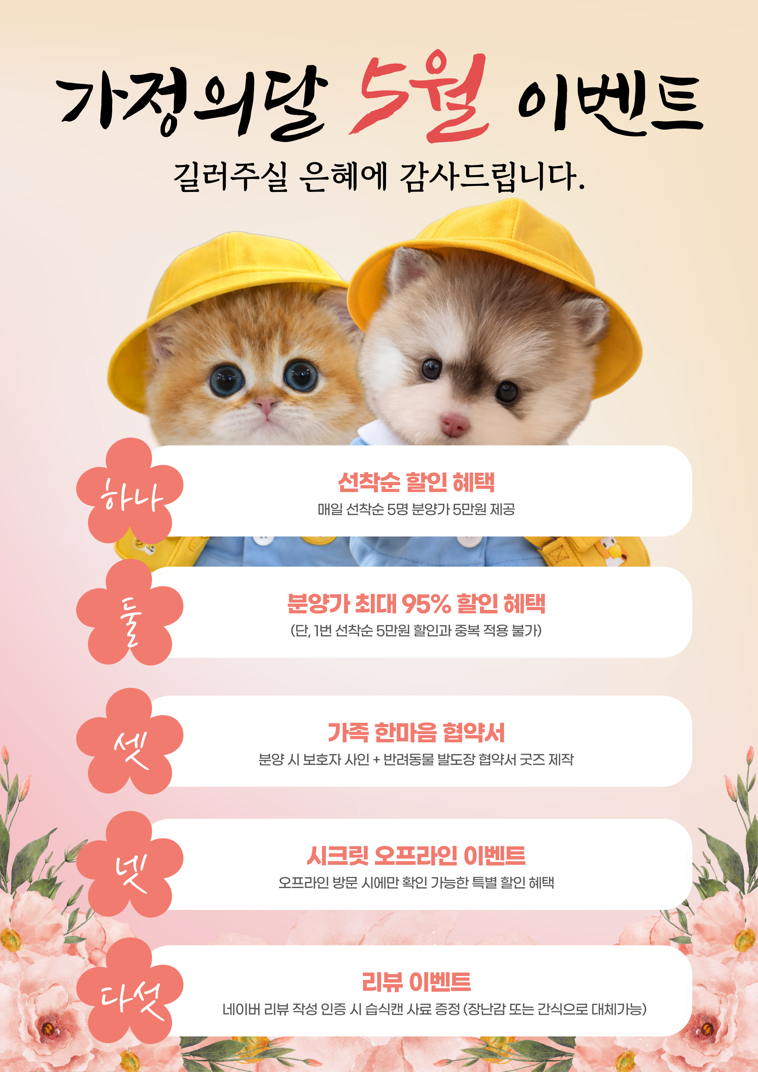 미유펫서울_팝업_4